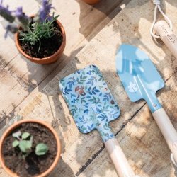 Solsikkeplante I Plant din egen solsikke I Little Dutch