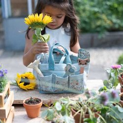 Solsikkeplante I Plant din egen solsikke I Little Dutch