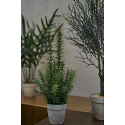 Kunstig rosmarin i potte I 23x41cm | Speedtsberg