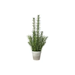 Kunstig rosmarin i potte I 23x41cm | Speedtsberg