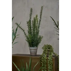 Kunstig rosmarin i potte I 25x58cm | Speedtsberg