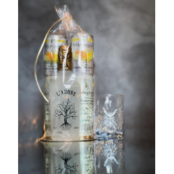 Mediteranean Gin &amp; Tonic st