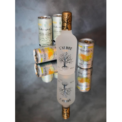 Mediteranean Gin &amp; Tonic st