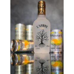 Mediteranean Gin &amp; Tonic st