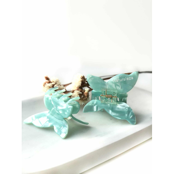 Naturaleza hrklemme, sommerfugl, bl