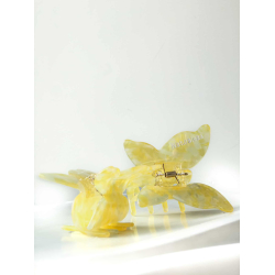 Naturaleza hrklemme, sommerfugl, gul