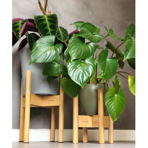 Plantestativ st, Bambus l Lille & stor