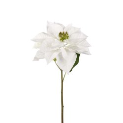 Julestjerne | Hvid | Kunstig | Mr Plant