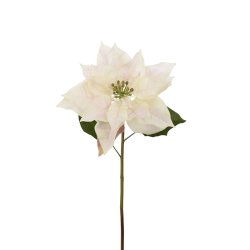 Julestjerne | Creme | Kunstig | Mr Plant 