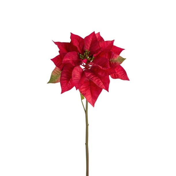 Julestjerne | Rd | Kunstig | Mr Plant