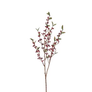 Brkvist med rde br | Mr Plant