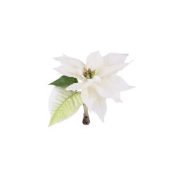 Julestjerne i hvid med klips | Mr Plant