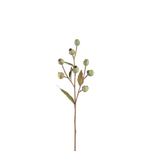 Kunstig eucalyptus kvist med b�r I Mr Plant I 65cm