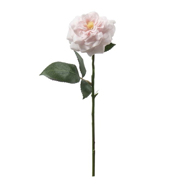 Rose med real touch, kunstig fra Mr. Plant Sverige l 41cm 