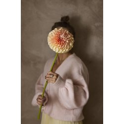 Dahlia | Fersken farvet | Mr Plant I Kunstig blomst