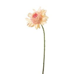 Dahlia | Fersken farvet | Kunstig blomst |�Mr Plant