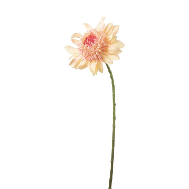 Dahlia | Fersken farvet | Kunstig blomst |�Mr Plant