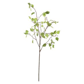 Birkegrene | Mr Plant |�Kunstige blomster