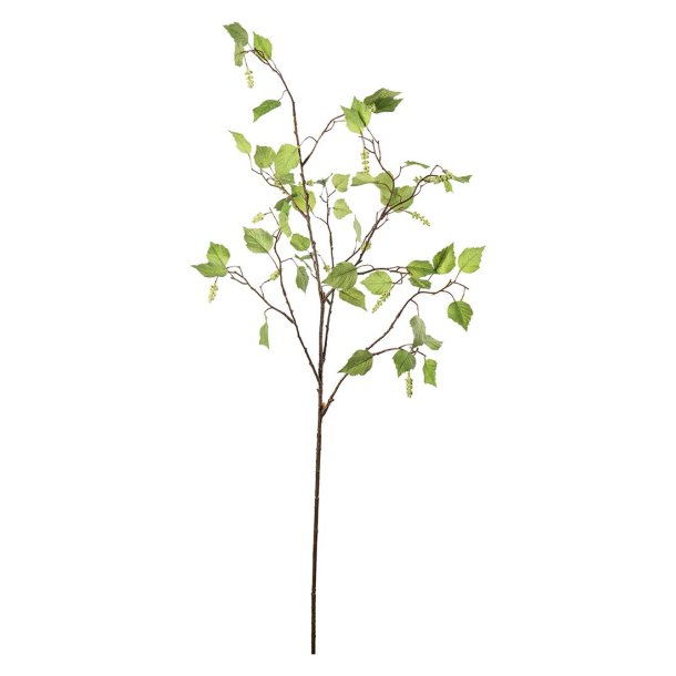 Birkegrene | Mr Plant |�Kunstige blomster