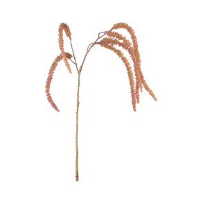 Amaranthus | R�vehale | Kunstige blomster | Mr Plant
