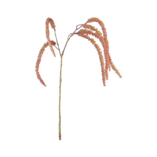 Amaranthus | R�vehale | Kunstige blomster | Mr Plant