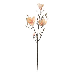 Magnolia fersken farvet | kunstige blomster |�Mr Plant