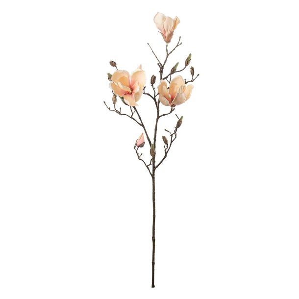Magnolia fersken farvet | kunstige blomster |�Mr Plant