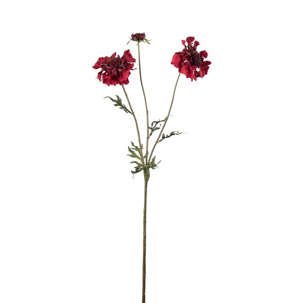 Kunstig skabiose |�Mr Plant I 65cm 