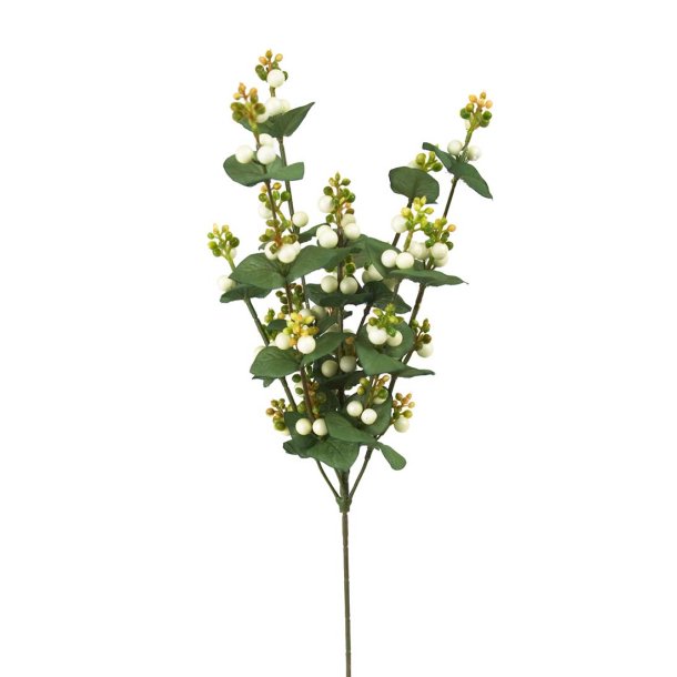 Sneb�r gren I 47cm I Mr Plant