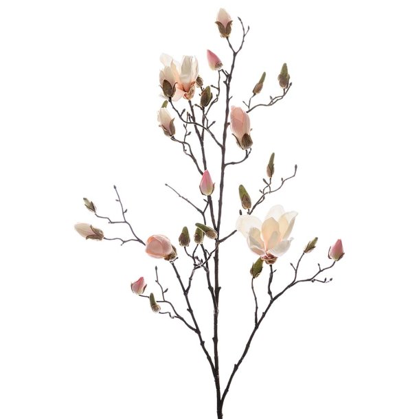 Magnolia rosa | Kunstig blomst | Mr Plant