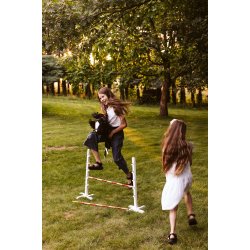 K�phest Alicia I Brun I Astrup