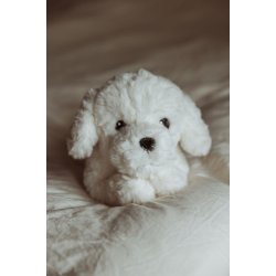 Tyngdedyr hund I By Astrup I 0,6kg