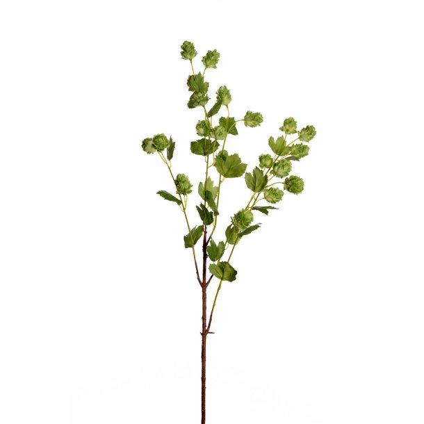 Humle | Kunstige blomster | Mr Plant