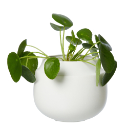 AYA pot/vase, sand finish, White, D17 x H14 cm