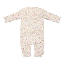 Heldragt Fairy Garden | Little Ducth