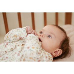 Heldragt Fairy Garden | Little Ducth