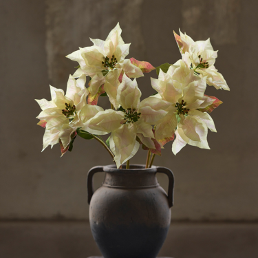 Julestjerne | Creme | Kunstig | Mr Plant 