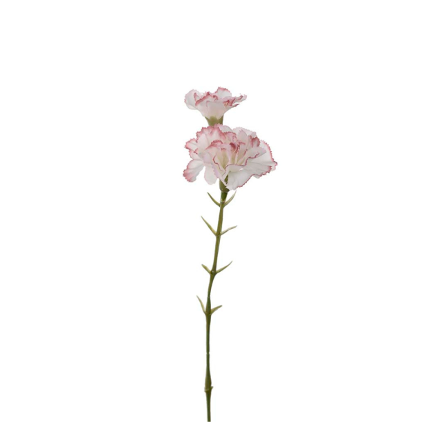 Evighedsblomster l Nejlika l Hvid med pink l 31cm l Indretning l Kunstige blomster l Mr Plant l 