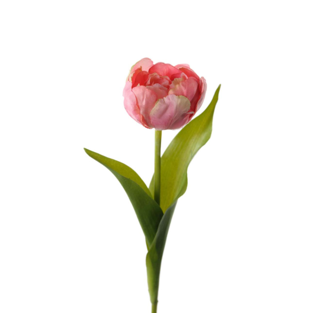 Tulipan l Lyserd l 36cm l Kunstige blomster l Evigheds blomst l MrPlant l 