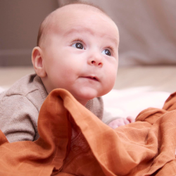 Stofble l 65x65 cm l Brun l Baby &amp; b�rn l Accessories l Filibabba l 