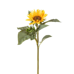 Evighedsblomster l Solsikke l Gul l 70cm l Indretning l Mr Plant l