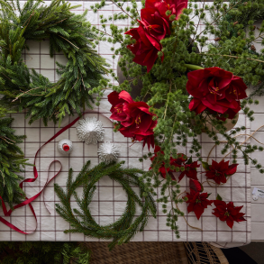 Evighedsblomster l Amaryllis l Rd l 60cm l Indretning l Kunstige blomster l Mr Plant l 