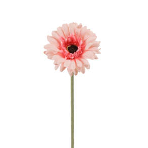 Evighedsblomster l Gerbera l Lyserd l 55cm l Indretning l Mr Plant l