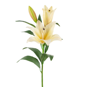 Evighedsblomster l Lilje l Gul l 90cm l Indretning l Mr Plant l