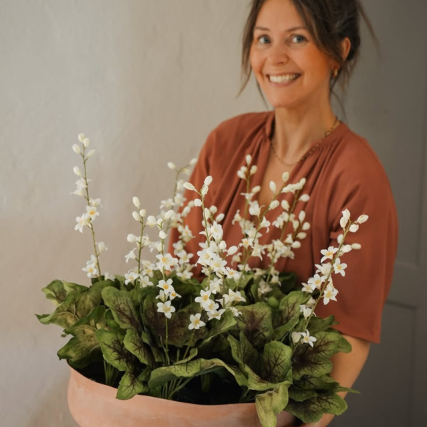 Evighedsblomster l Blklocka l Hvid l 65cm l Indretning l Mr Plant l