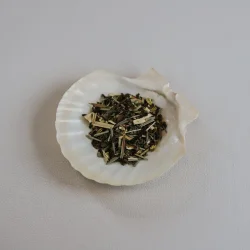 Beauty te I �kologisk I Teministeriet