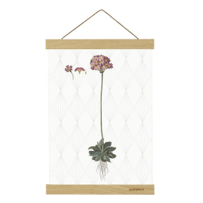 Ramme l Magnetskinne l Plakat ophng l A3