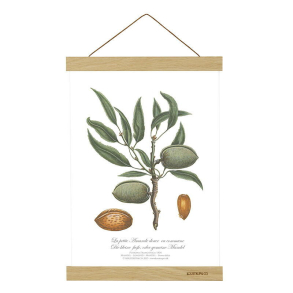 Ramme l Magnetskinne l Plakatophng l A4