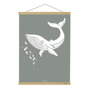 Ramme l Plakat ophng l Magnetskinne l Eg l B2