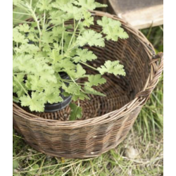 Kurv l Kurv m. hank l IB Laursen l Flet